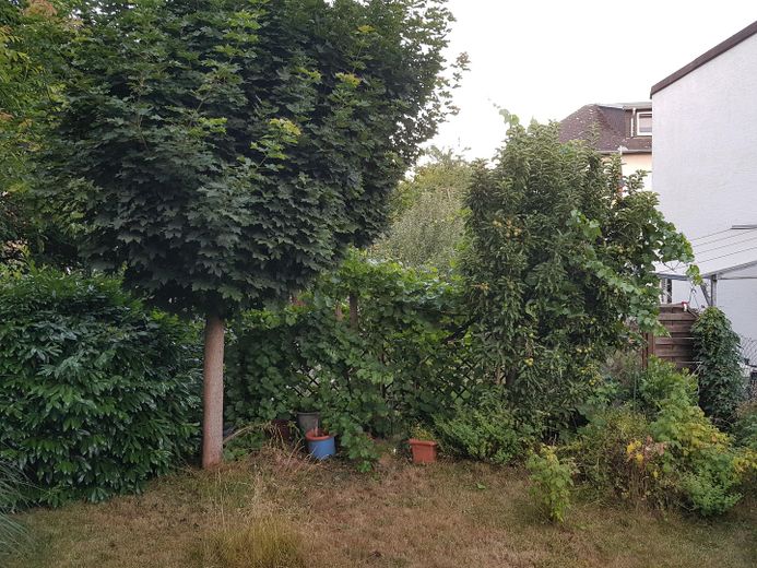Bezugsfreies EFH mit Scheune & Garten in Niederbrechen – Garten