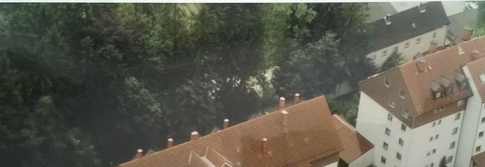 Am Klostergarten: Stadtjuwel in Landshut, Dachgeschoss, absolut ruhig, sonnig, Blick ins Grüne, zentral