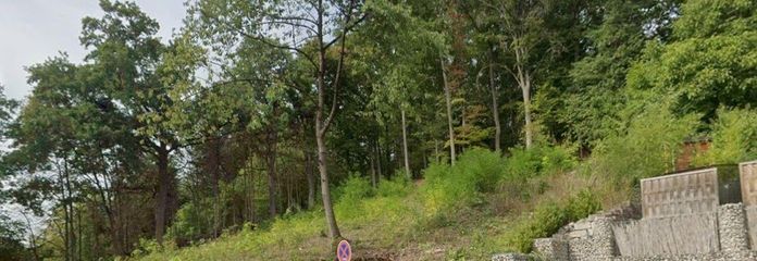 Traumgrundstück in bester Aussichtslage: Ihr Logenplatz in Ahorn bei Coburg! – Grundstücksfront