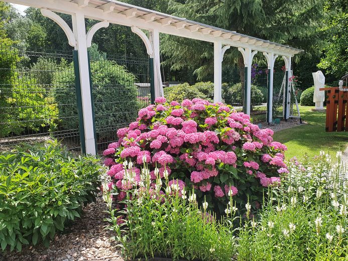 Represäntive Premium-Villa in gefragter Lage von Kolkwitz - VERKAUF IM DIGITALEN BIETERVERFAHREN – Garten