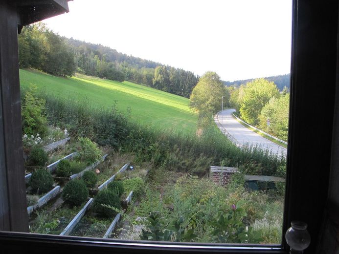 Sonniges Haus, 3 kpl. Wohnungen, Alleinlage, unverbaubarer Fernblick, Urlaubsregion Sonnenwald – Wiesen und Wald in der Nähe