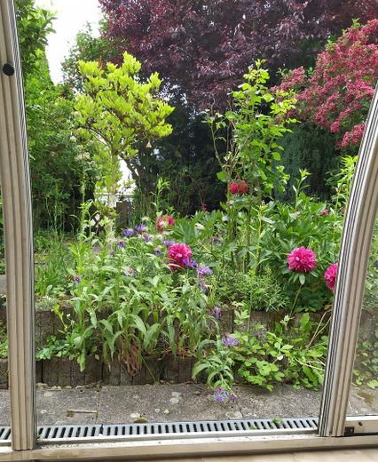 Blick aus dem Wintergarten