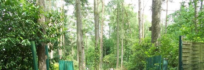 Einfahrt