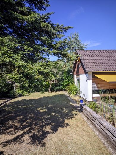 Rasenfläche (Westseite)