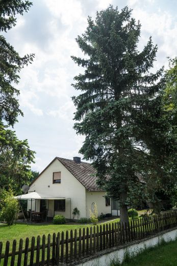 1,4 ha eigenes Land mit Wiese, Wald & Jagdhütte — Hunsrück-Landsitz in Einzellage – Foto 10