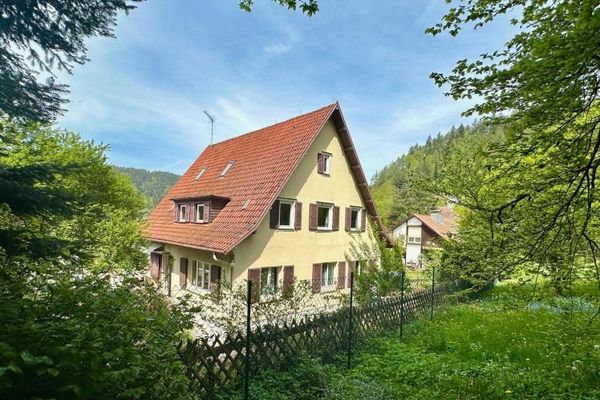 вид на замок - castle view - просторий будинок у Шварцвальді в Bad Liebenzell - великий будинок у Чорному Лісі! Ab/From October