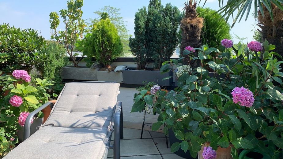 3 Zimmer, Maisonette in NRW/EN/Naherholungsgebiet Herdecke, Nähe Uni/ Krhs – AYET0506