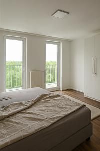 TRANQUILLO E VERDE SOPRA I TETTI DI BERLINO – 1765480661_5d17e7.jpg