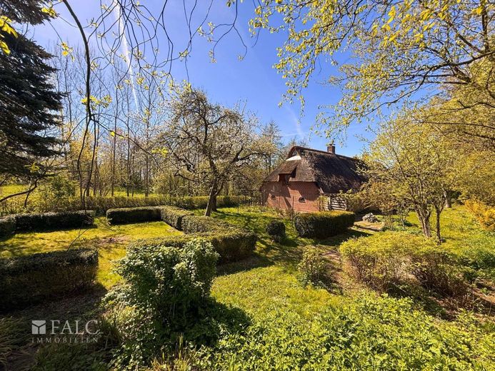 Ein Reetdachhaus wie aus dem Märchen - umgeben von Natur, Geschichte und Seele. – Außenansicht Garten Bild 2