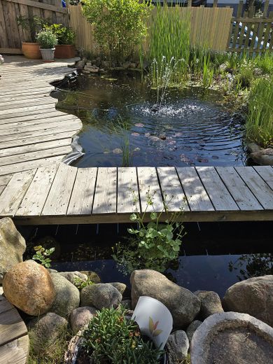 Teich und Terrasse