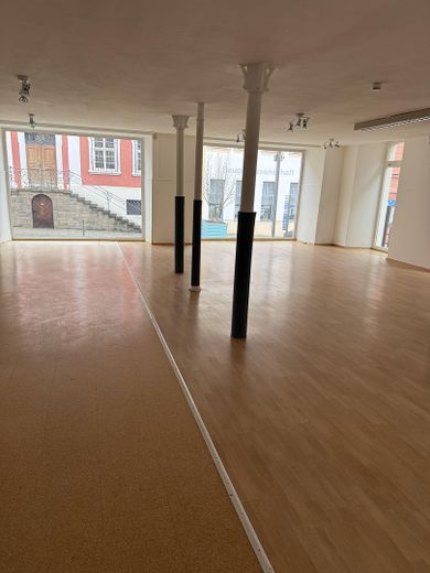 Landesgartenschau 1 Million Gäste , Laden an Fußgängerzone + Marktplatz, Präsentation zur LGS! – Foto 23