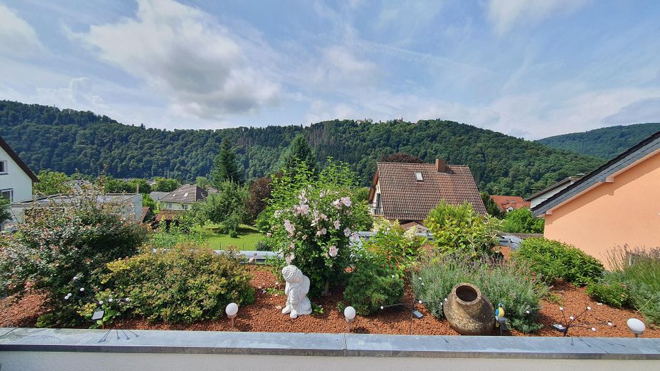 Panoramablick in Natur