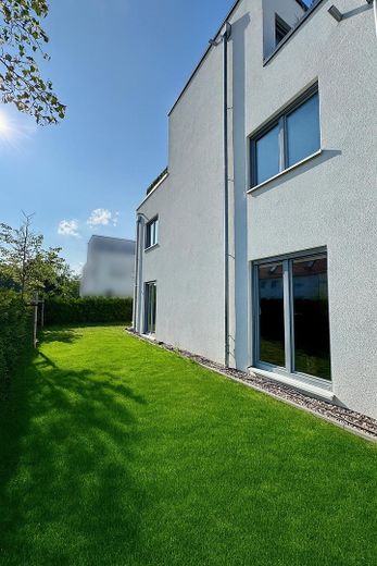 Garten mit Zaun und Hecke