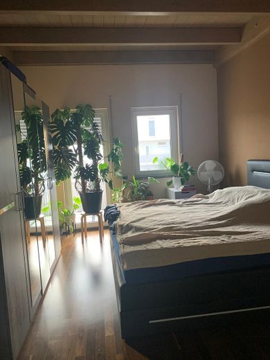 Nachmieter Gesucht ab 1. September 2026 – Schlafzimmer