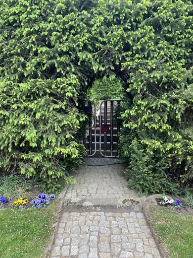 Gepflasterter Zugang i.d.Hecke