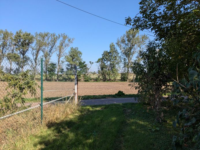 Natur gegenüber der Straße