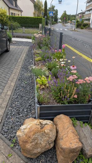 OHNE MAKLER! Freistehendes EFH auf 1.416 m² – seltenes Grundstück in zentraler Lage von Hennef – Vorgarten