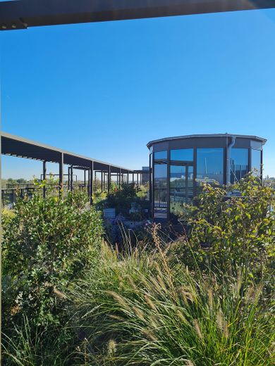 Erstbezug 2-Zimmer-Wohnung an der Rheinpromenade im Mainzer Zollhafen – Dachterrasse