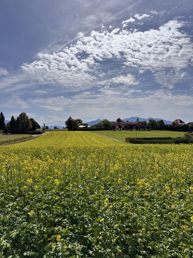 Baugrundstück mit Bergblick in Breitbrunn am Chiemsee – Ausblick Süd Kampenwand
