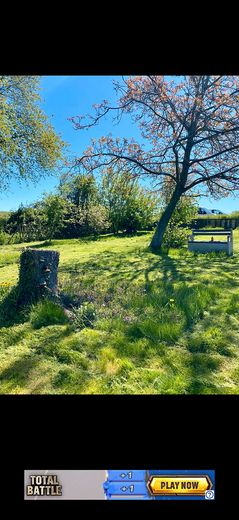 Bauernhaus mit großem Grundstück / Garten – Foto 11
