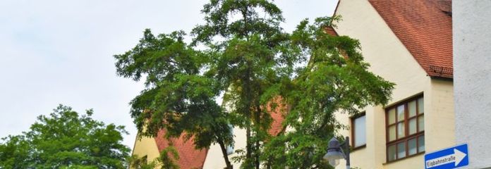 Helle Büro-Praxisräume direkt in der Altstadt von Ingolstadt mit 7 Tiefgaragenstellplätzen!