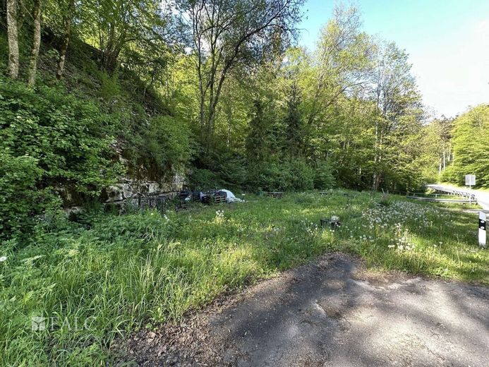 Waldstück