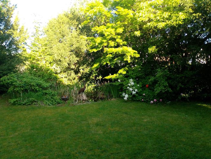 Garten mit Teich