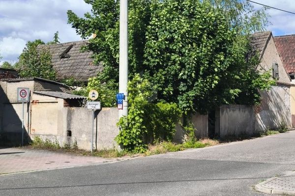 GRÜN, RUHIG UND IDYLLISCH - MIT ALTBESTAND