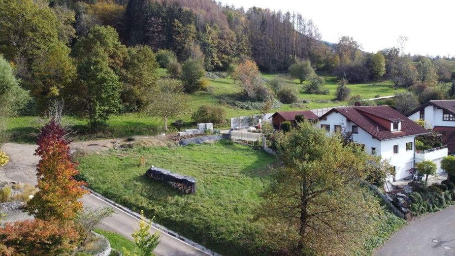 Natur und Ruhe hinter dem Haus