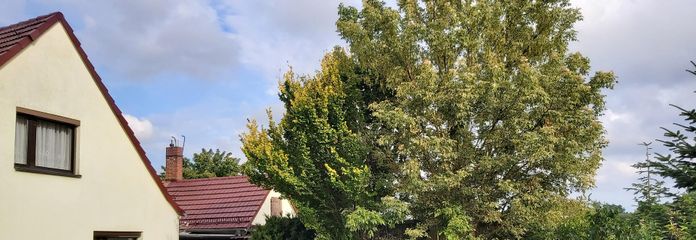 Blick auf Eingangsbereich