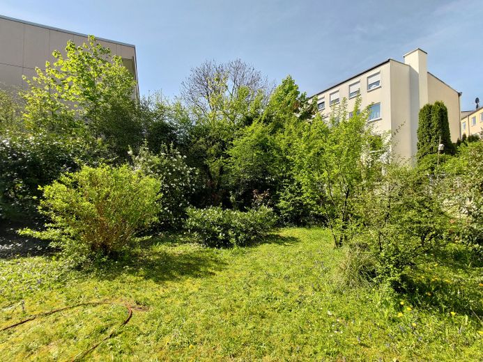 Charming 2-room apartment in Munich-Sendling-Westpark - commission-free – Garten (Nutzungsrecht)