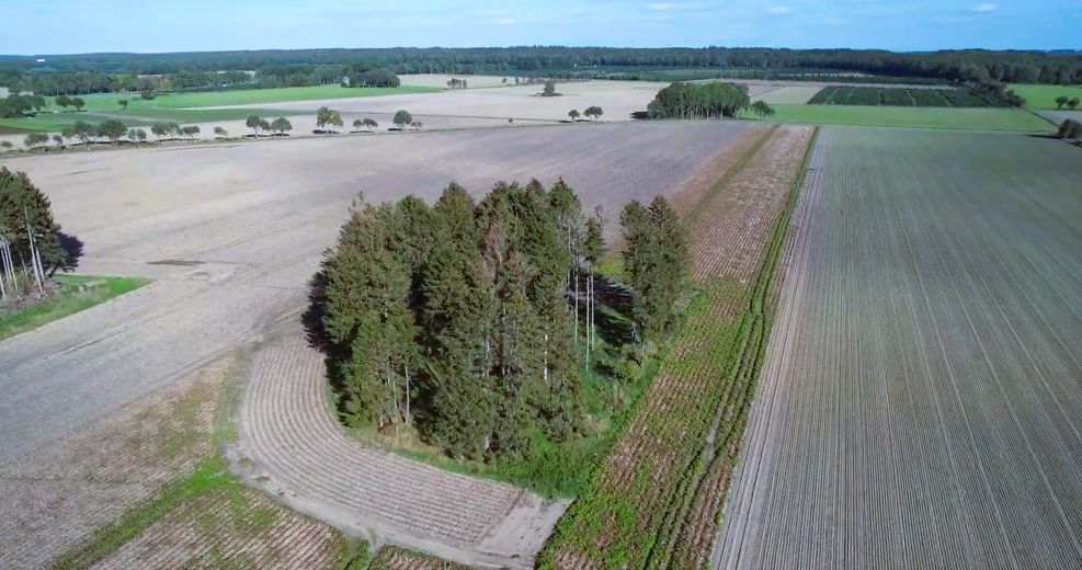 #PRECIO INIGUALABLE#TERRENO FORESTAL GIGANTESCO#REGIÓN DE HEIDE+3 CASAS GRATIS#VÉASE EL TEXTO – FELDER + WIESEN 5 GEHMINUTEN