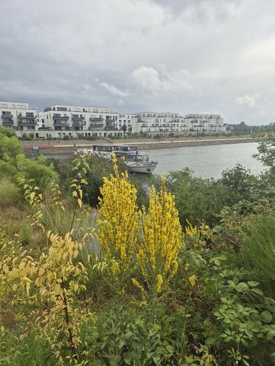 Wohnung im Bau, stadtnah im Hafenquartier Graf Bismark mit Balkon am Yachthafen/Kanal für 2 Personen – Ambiente Wohnumfeld