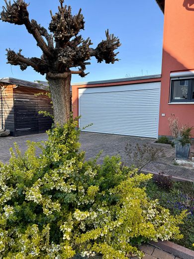 Vorgarten mit Stellplätzen