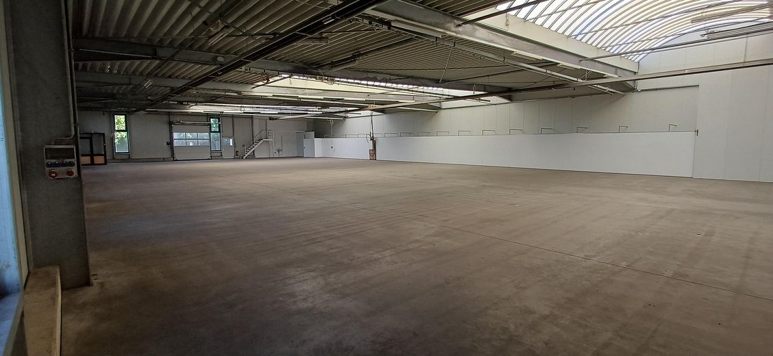 Produktions-, Lager- und Büroflächen in Salzkotten – Hallenfläche_2