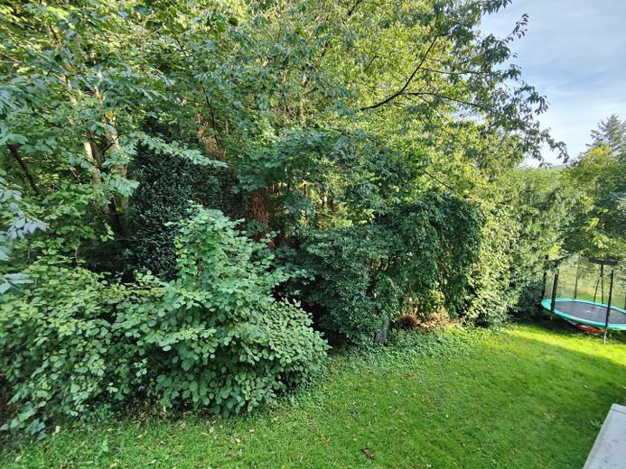 Dreifamilienhaus im Grünen mit großem Grundstück – Foto 19