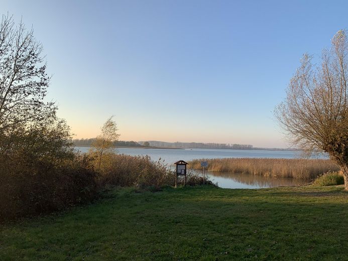 Dream property with house in the Uckermark – right in the biosphere reserve, water and forest – Oberuckersee im Herbst