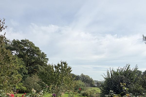Wohnung am Schaalsee mit Garten und Seeblick