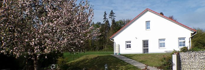 Garten mit Apfelbaum