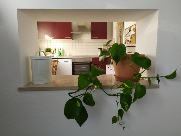 Wynajęte mieszkanie 3-pokojowe w Hasselroth – Blick von Wohnzimmer in Küche
