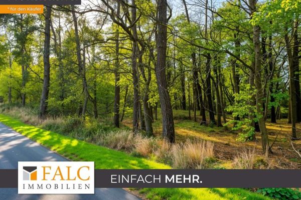 +++ Waldgrundstück 3 ha mit gutem Baumbestand in Ostseenähe +++