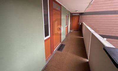 1774029274_e69e02.jpg