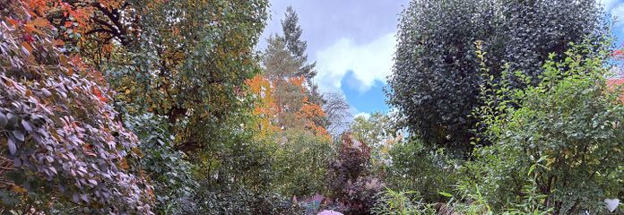 Wunderschöner Südgarten