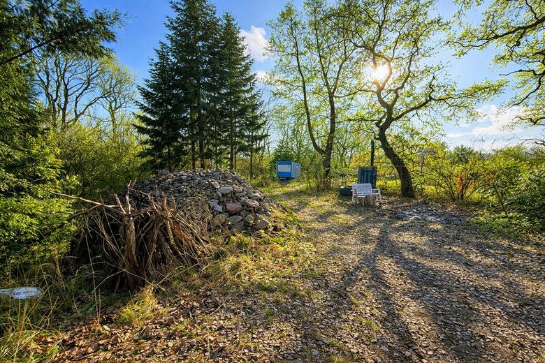 Großzügiger Resthof mit über 6,2 ha Land - ruhige Lage, vielseitige Nutzungsmöglichkeiten – Fläche direkt hinter dem Wohnhaus