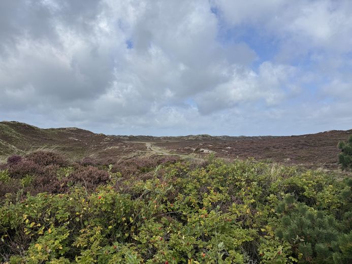 unmittelbare Umgebung