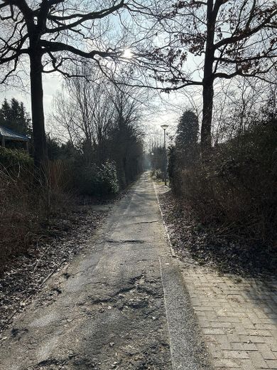 Wanderweg oberhalb des Hauses