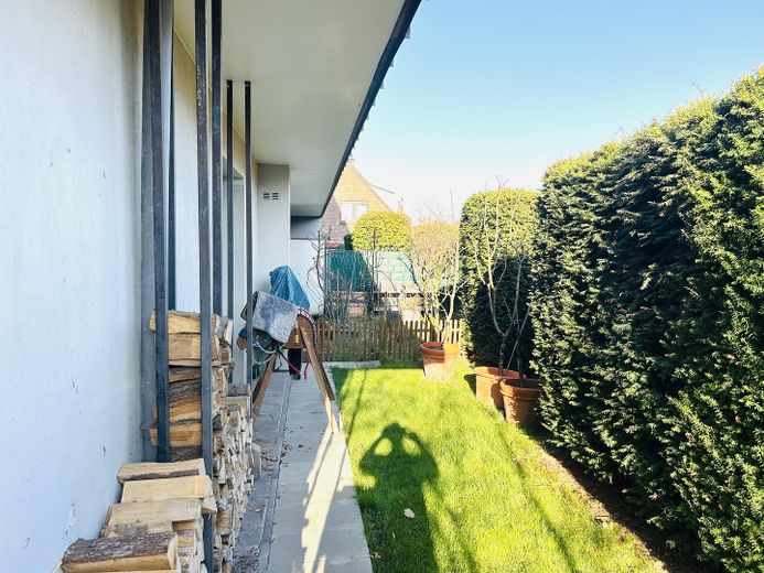 Garten hinten
