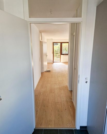 Renovierte 2-Zimmer-Wohnung in Korb mit Garagenstellplatz & Terrasse – Wohnzimmer