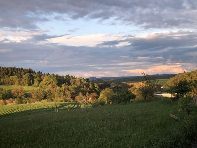 Möblierte Wohnung in grüner Idylle – Foto 11