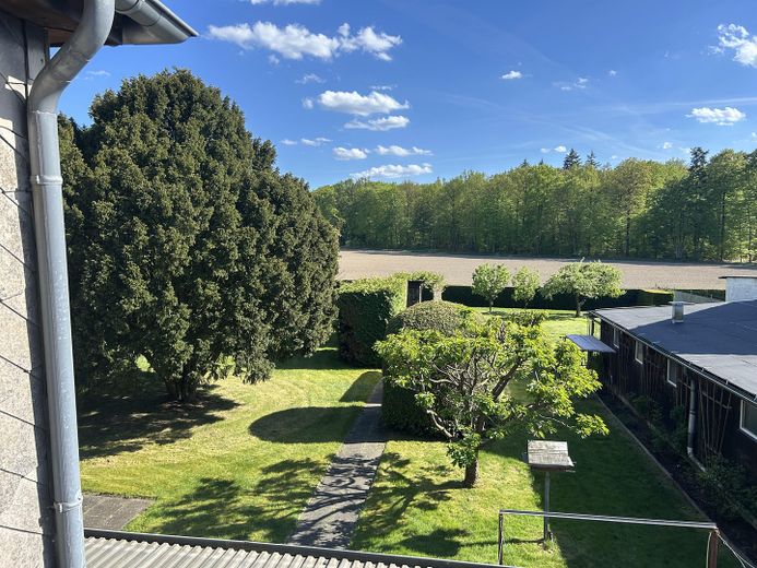 Blick OG Garten